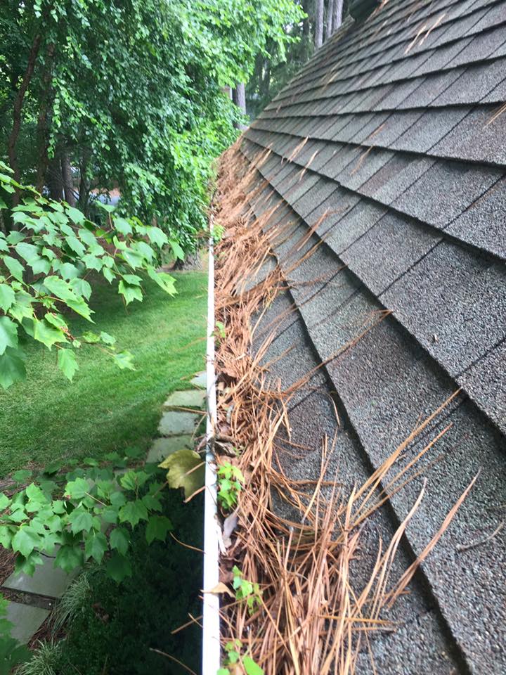 Gutter Cleaning Talbot Pro Wash Easton, MD and Surrounding