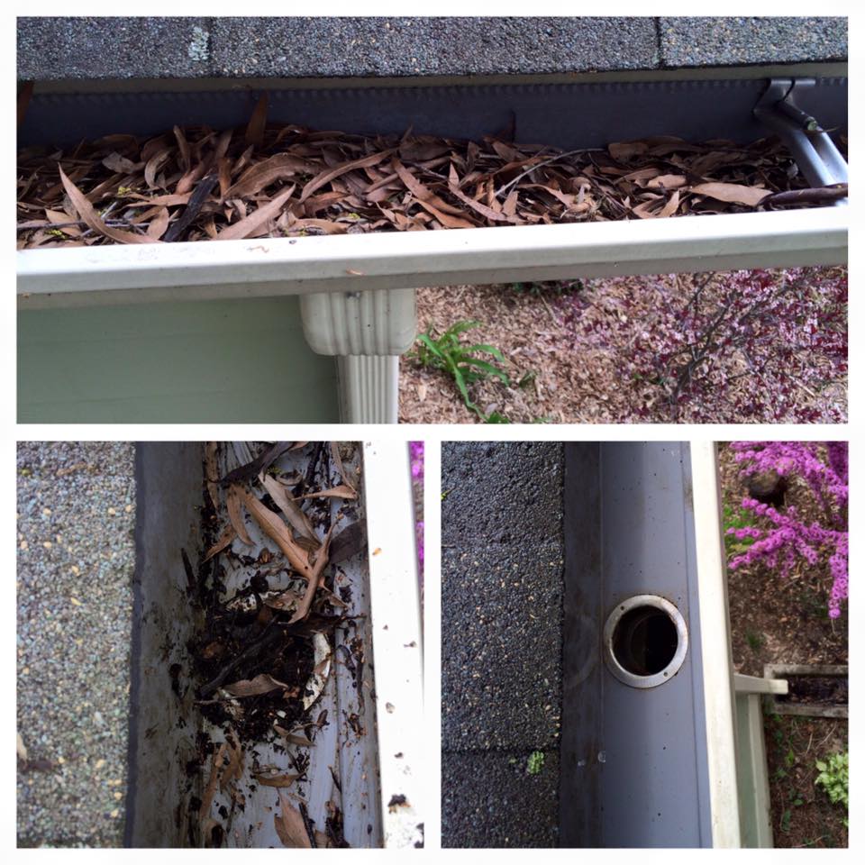 Gutter Cleaning Talbot Pro Wash Easton, MD and Surrounding
