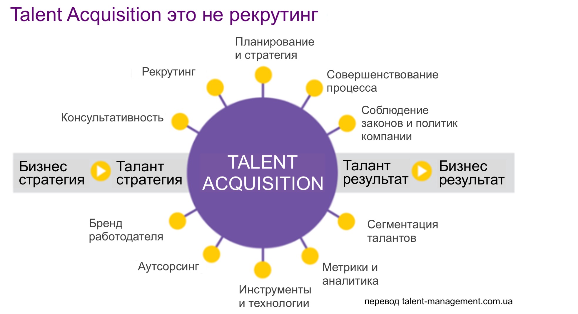 Рекрутинг vs Talent Acquisition Talent Management