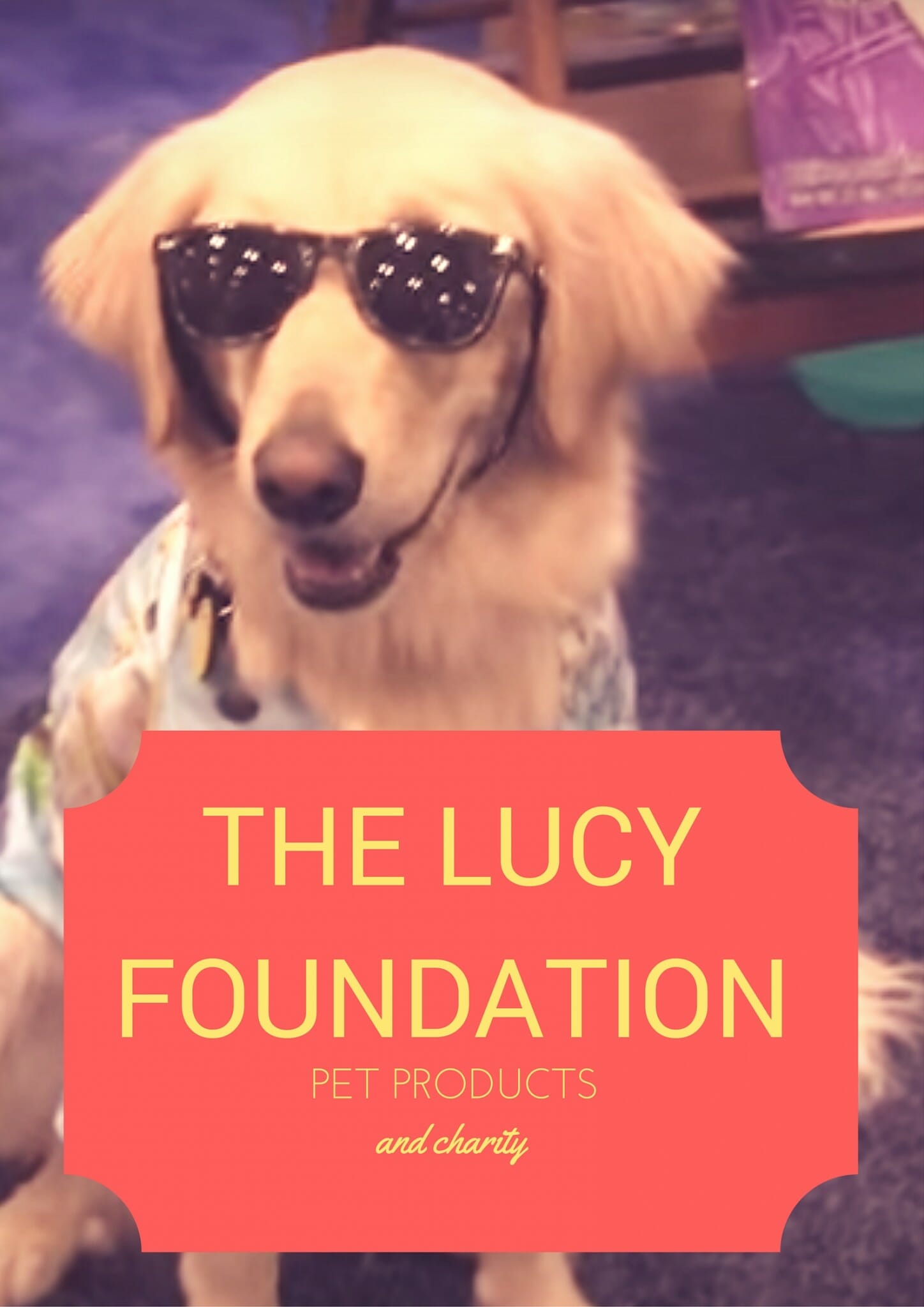 The Lucy Pet Foundation is Saving Animal Lives Talent Hounds