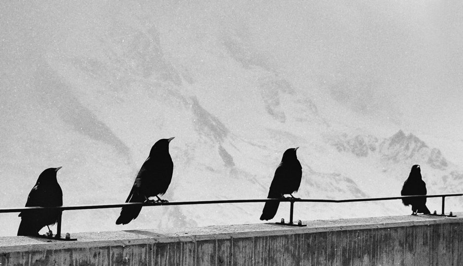 What Are Omens of Death in Folklore