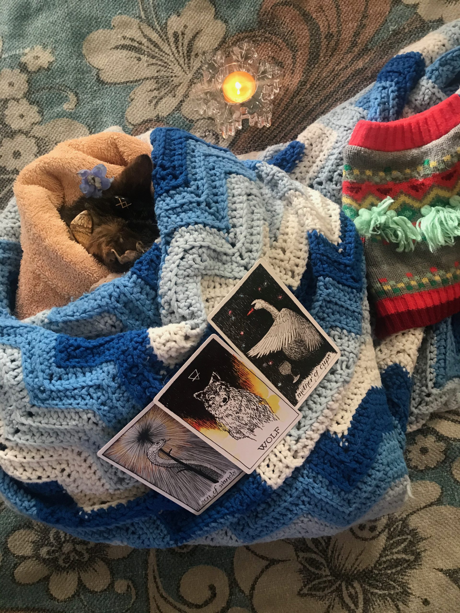 How to Care for a Deceased Pet at Home TalkDeath