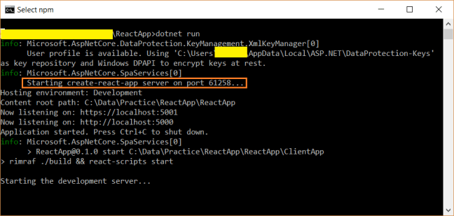 React app development server