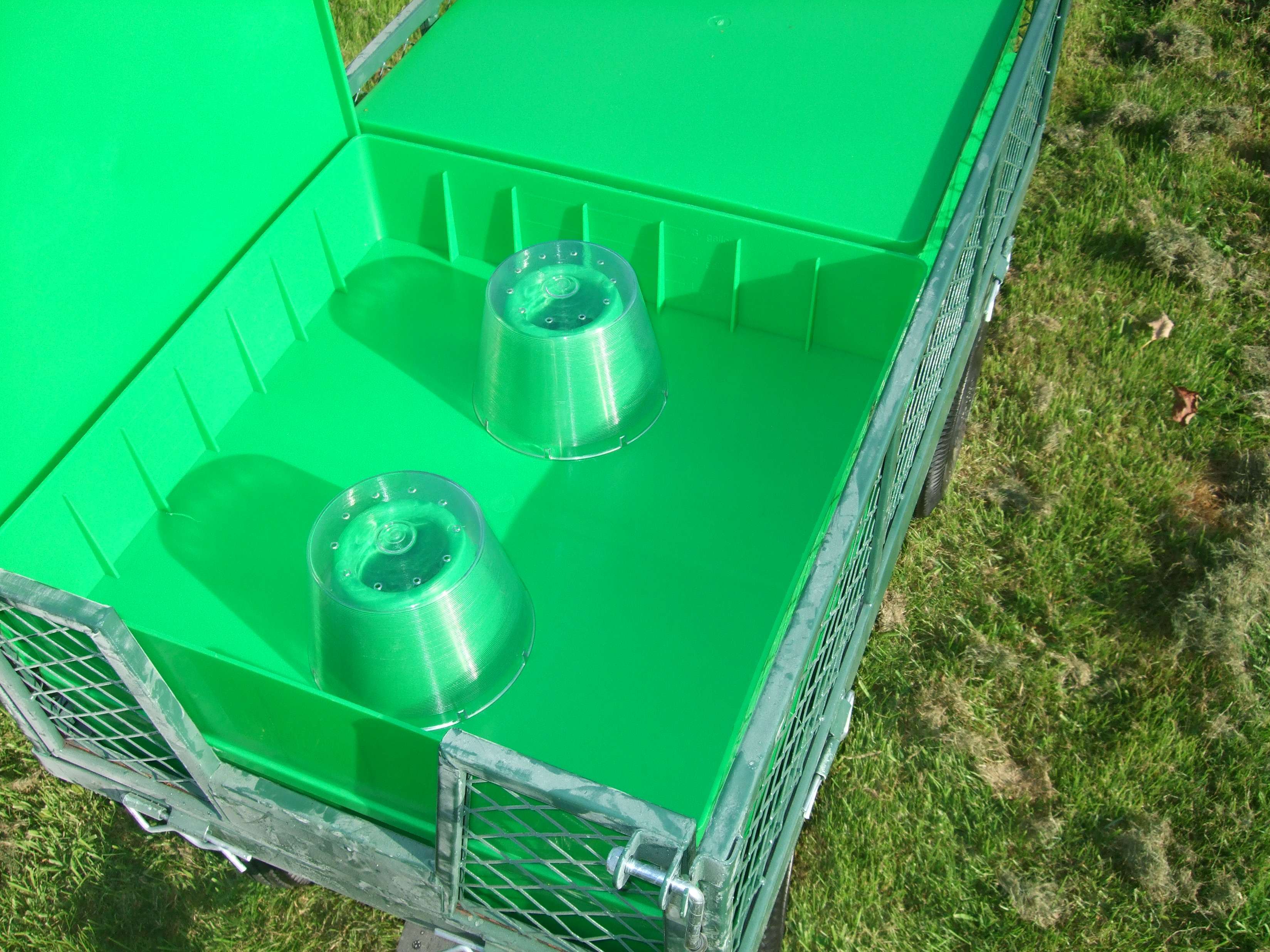 Feeding Bees Talking With Bees