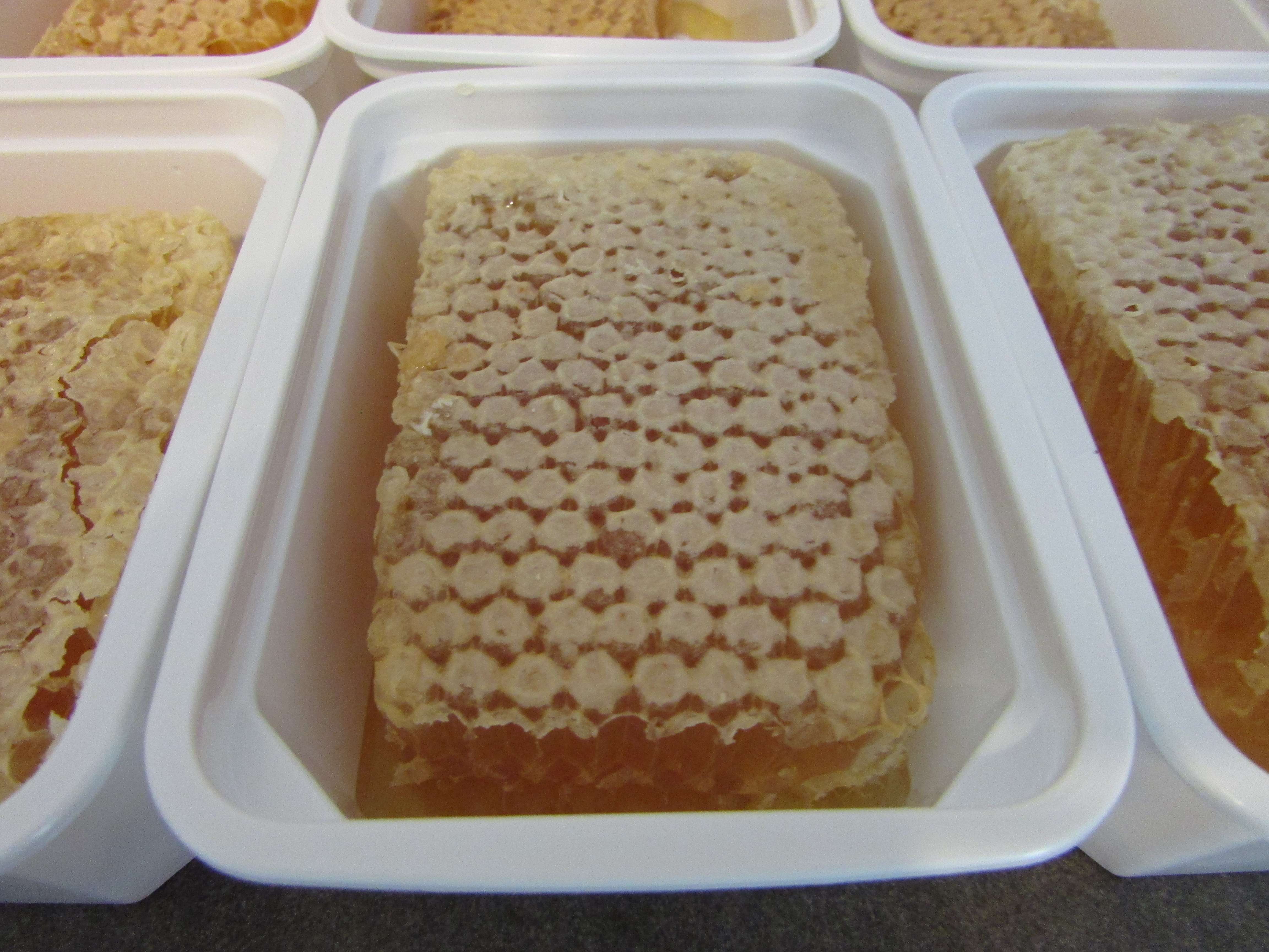 cut comb honey success?