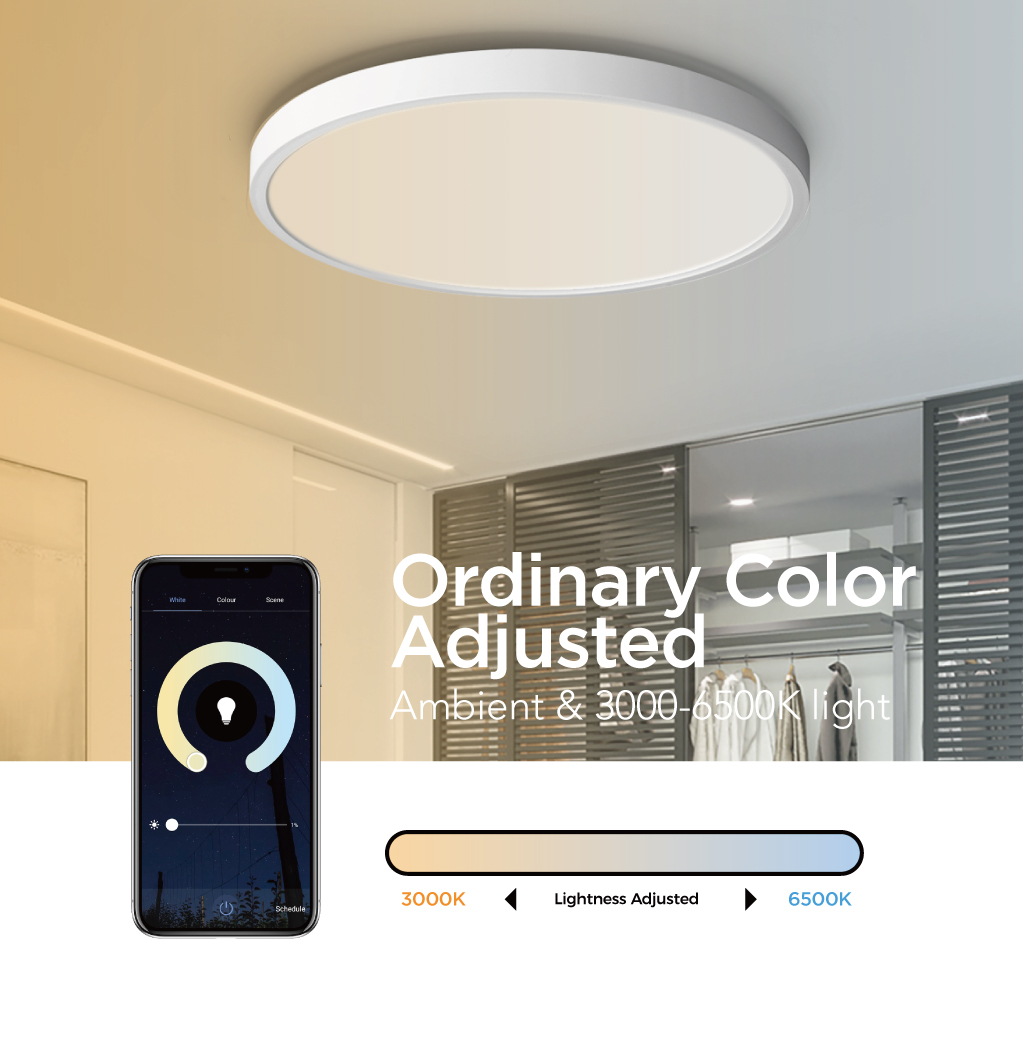 TALOYA LIGHTING - Galaxy Plus Series Smart Ceiling Light