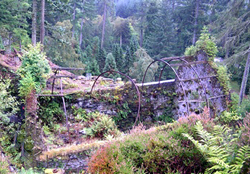 Tolkien at Buckland Hall, Talybont; Botanic Memories