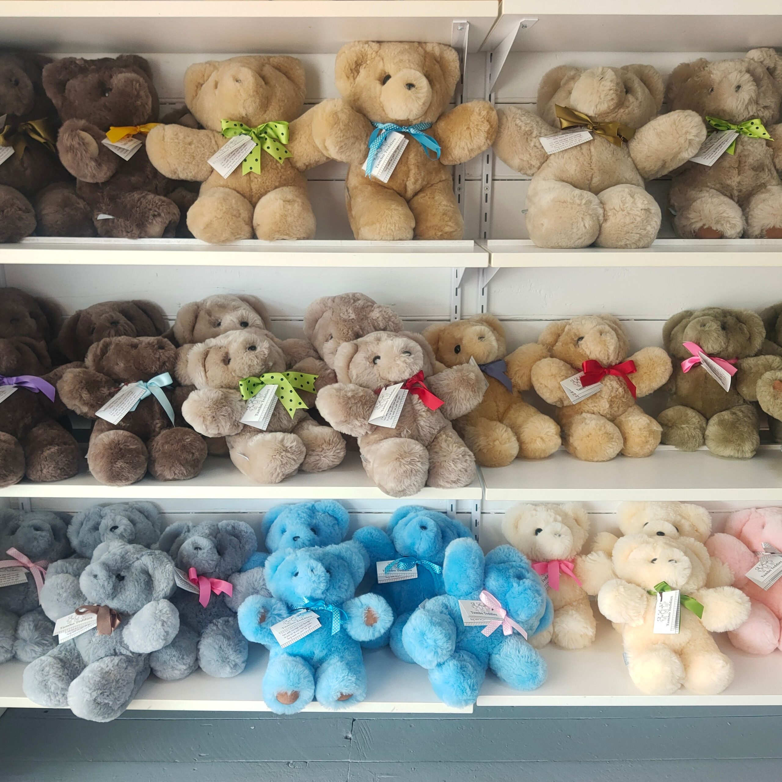 Teddy Bear Collecting - Tambo Teddies