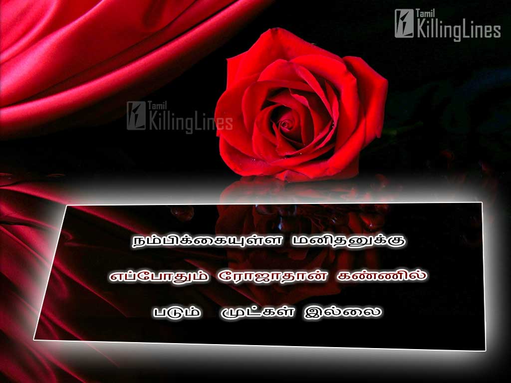 Rose Flower Kavithai In Tamil Best Flower Site