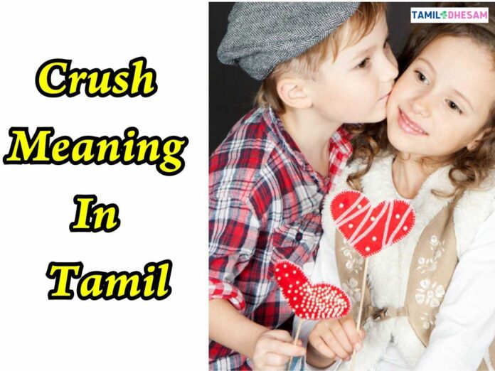 Crushன்னா தமிழ் அர்த்தம் என்ன தெரியுமா?