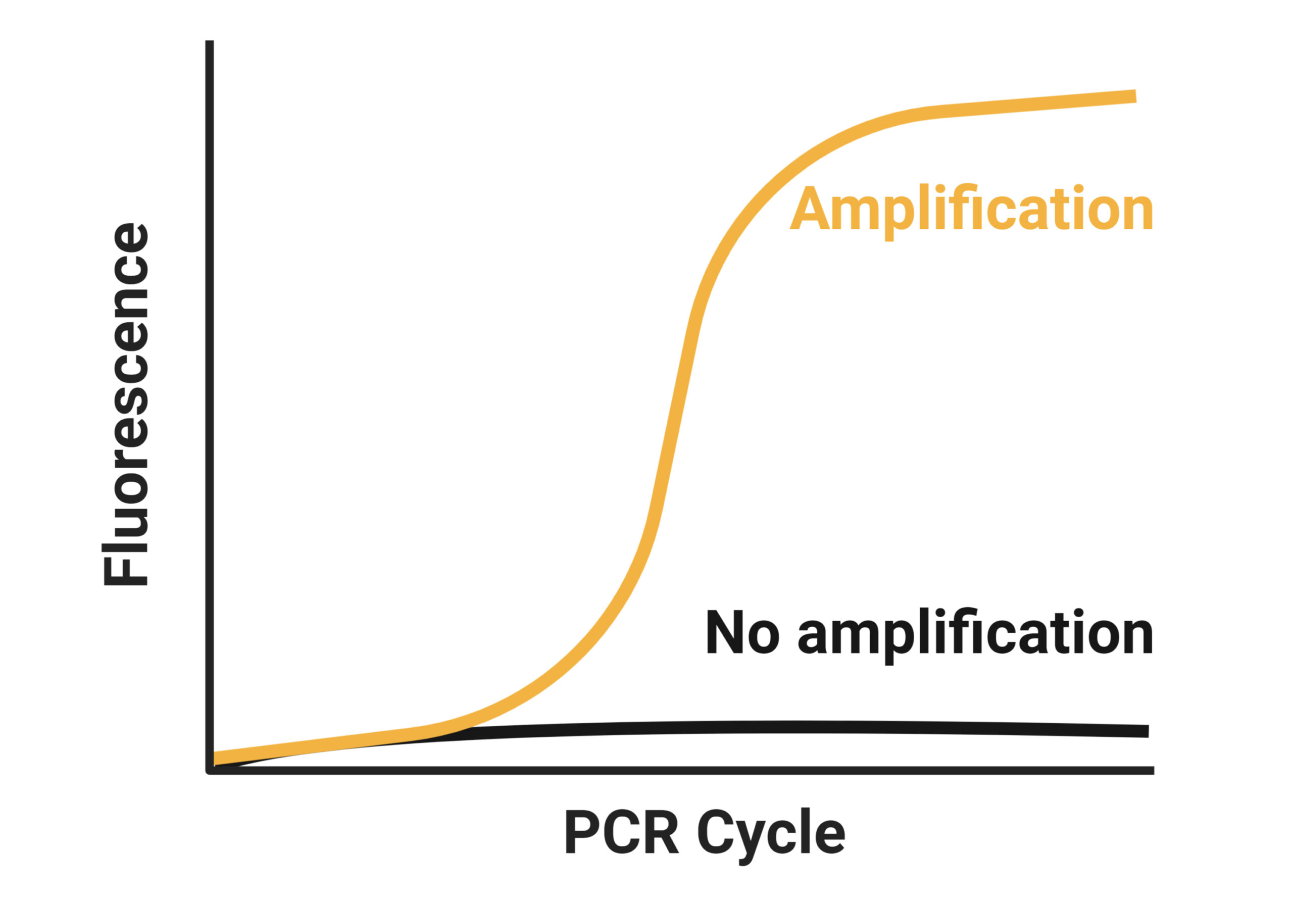 TAmiRNA is an expert in developing RTqPCR assays.
