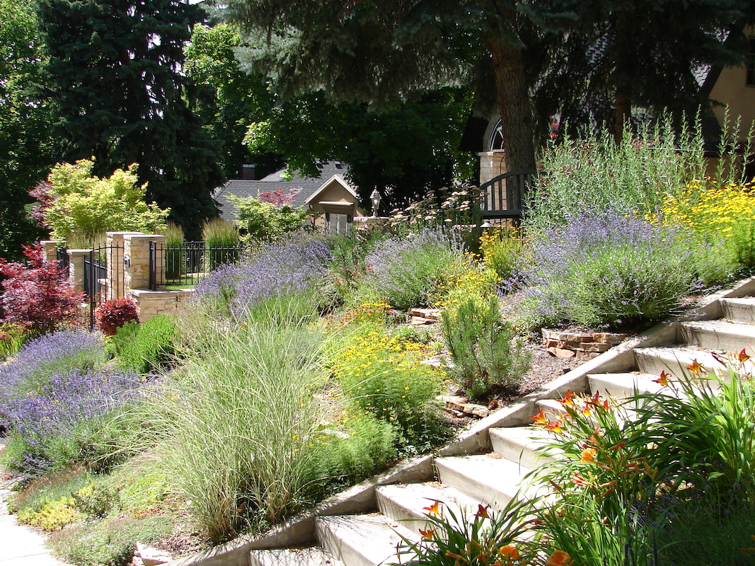 Inspiration and Ideas for Xeriscaping in Florida