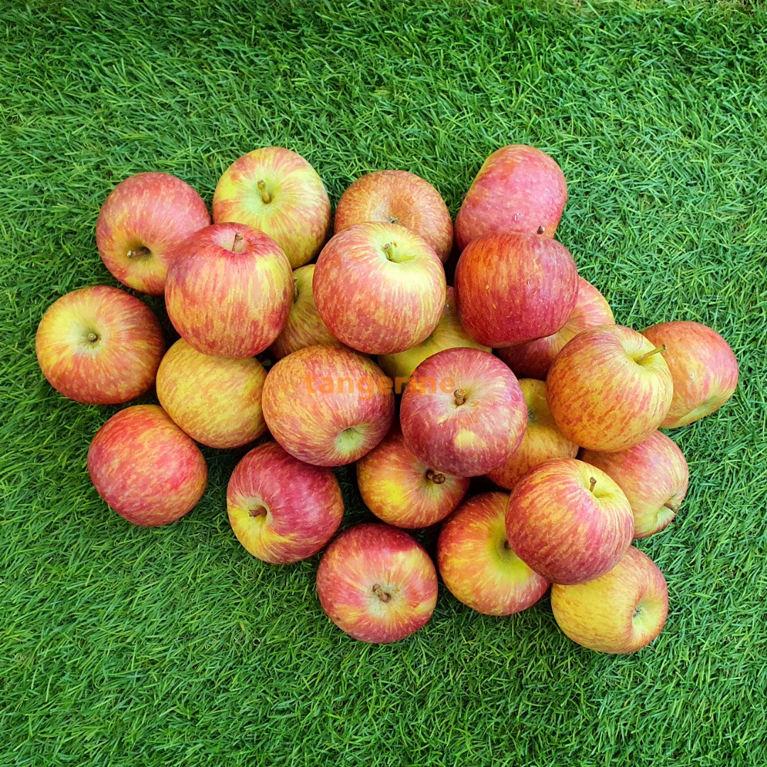 South African Fuji Apples in Bulk (Pack of 50) tangerine.