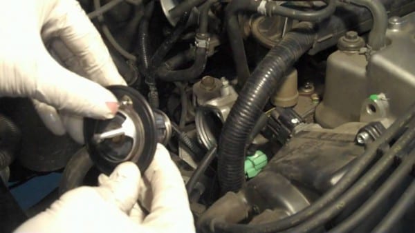 1998 Honda Accord Thermostat