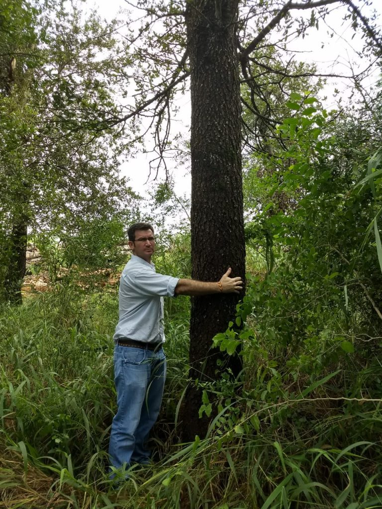 Quebracho wood strong and rich in tannins
