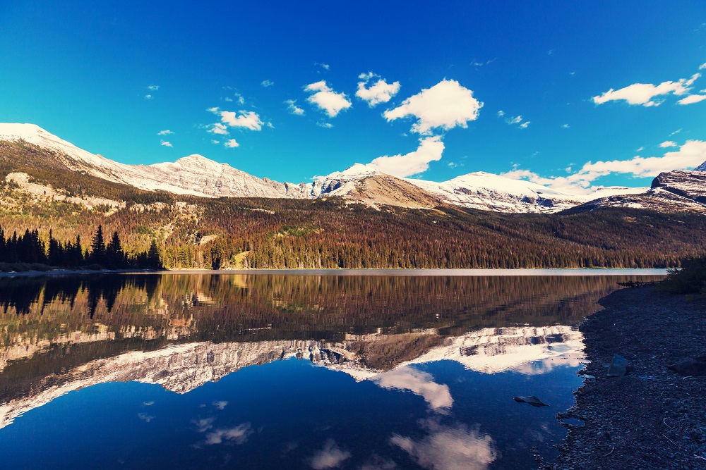 All Guides Go Trip Network