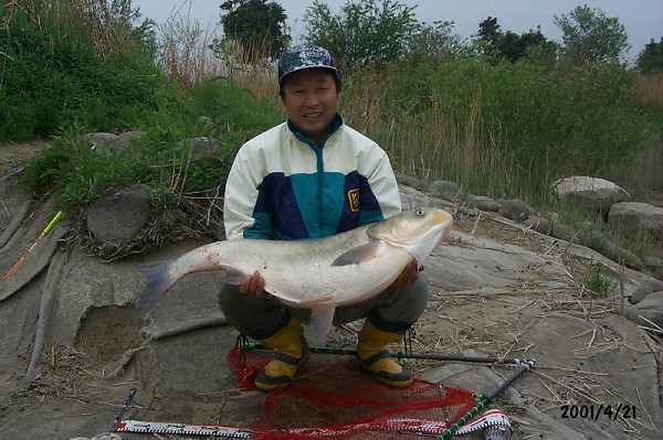 連魚（ハクレン）