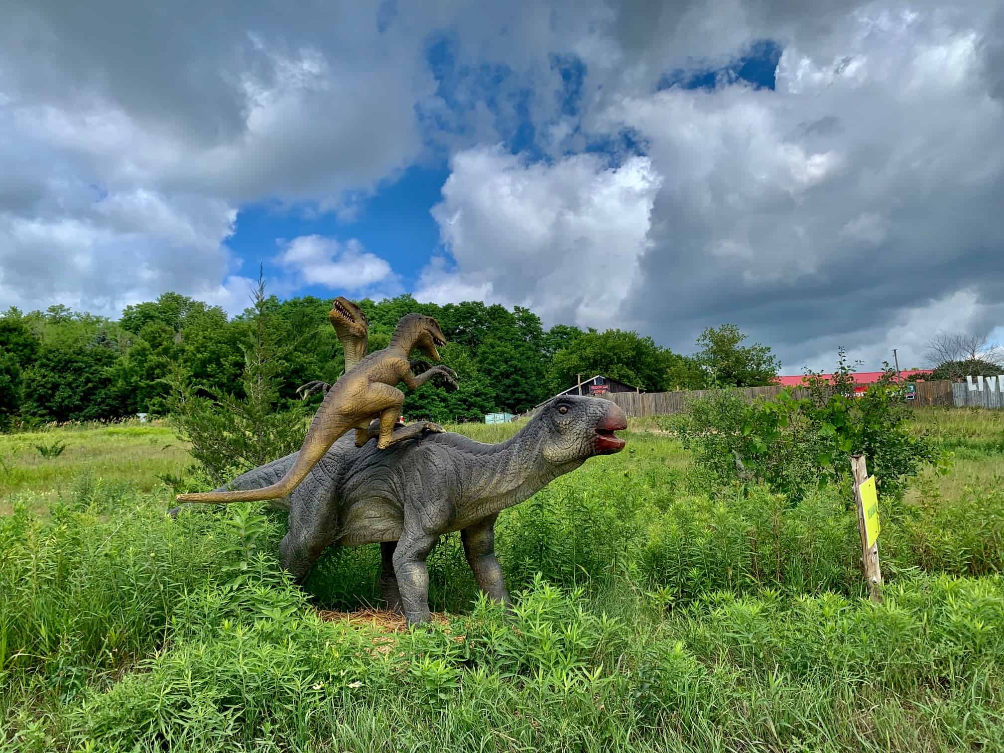 Indian River Reptile & Dinosaur Park • Tapped Out Travellers