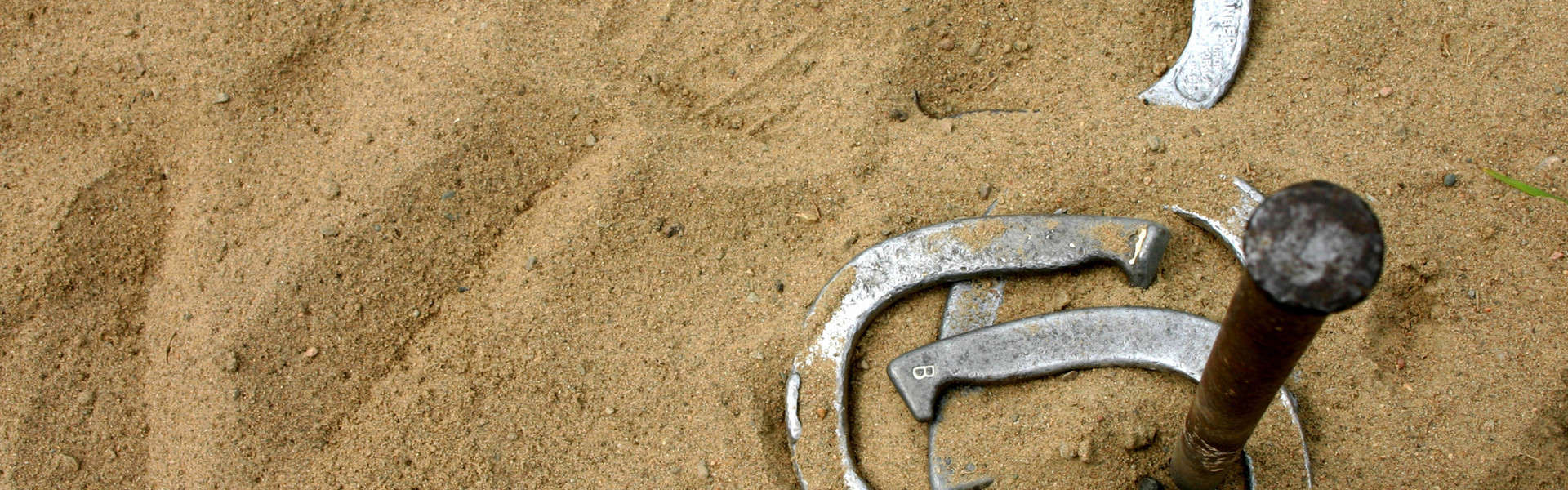 Gear Up for Learning + Fun at the 2020 Global TapRooT® Summit Horseshoes, Golf, & Travel