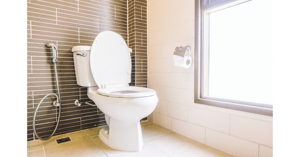 How Long does It Take to Install a toilet in 2024