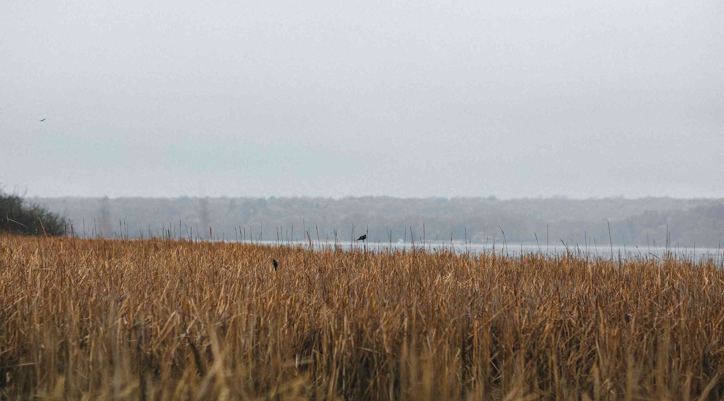 Is Madison Tap Water Safe to Drink? 2022