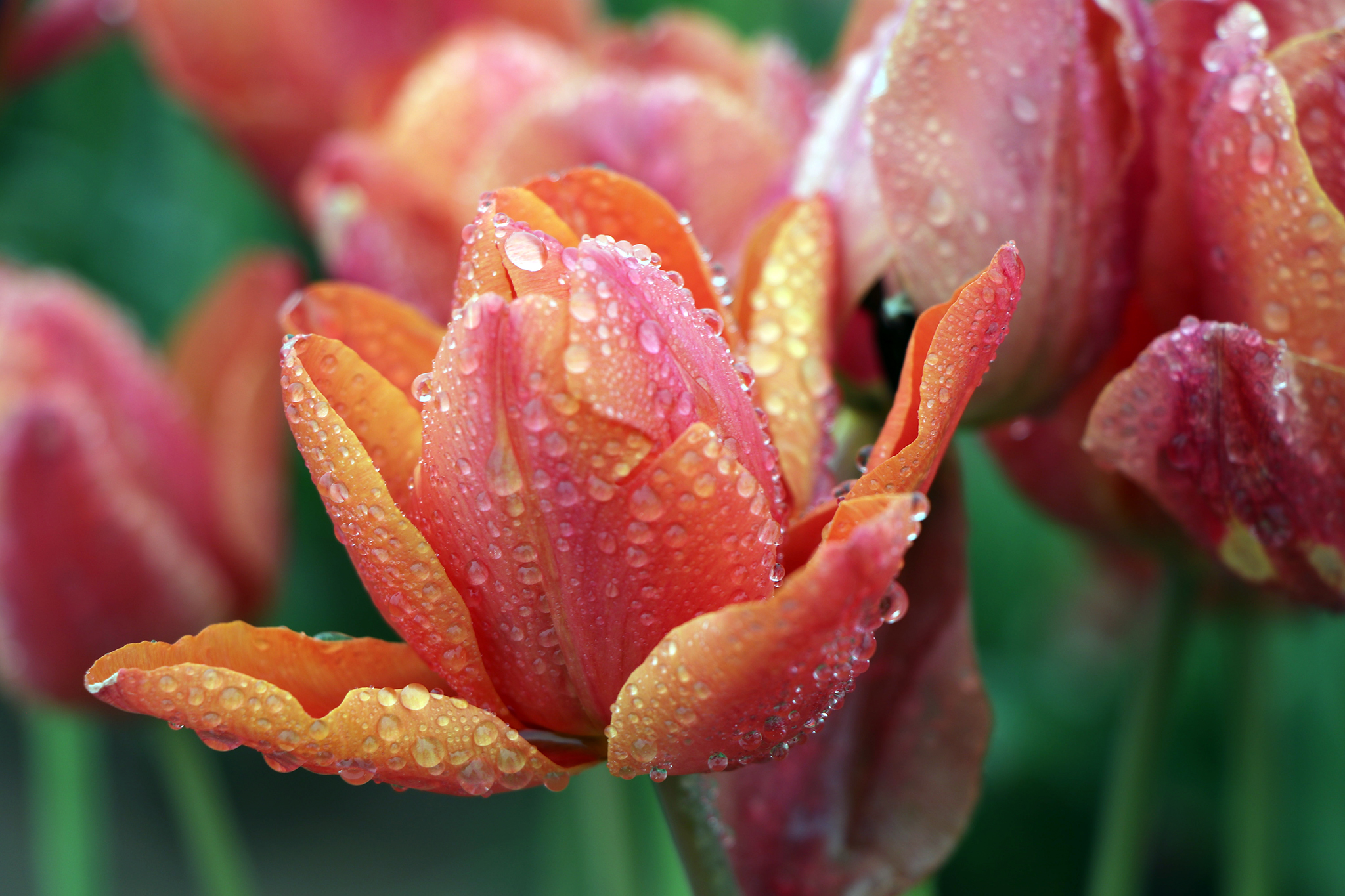 Updated 2021 Is Pilot Point tap water safe to drink? Pilot Point Water Source