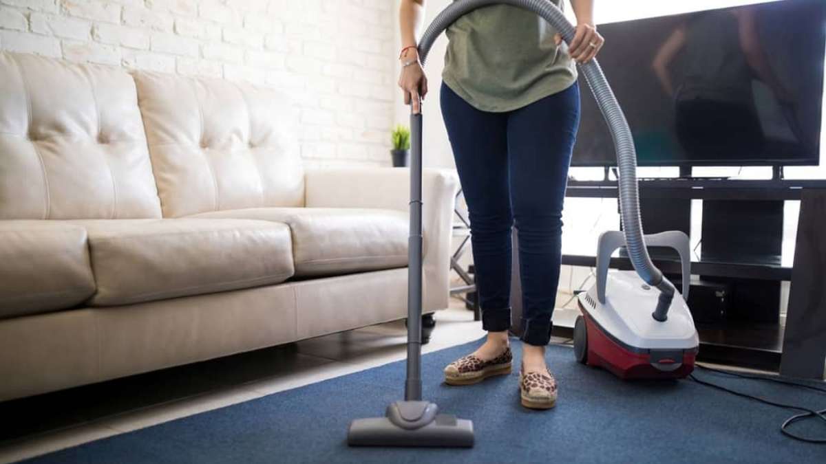 How Often Should You Clean Your Carpet? Tapscape