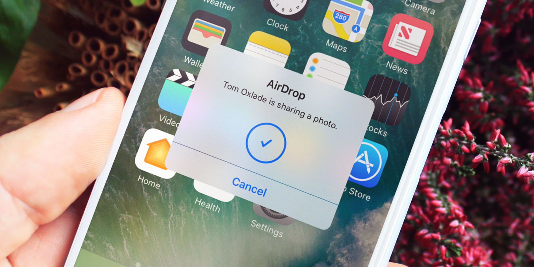使用 AirDrop：如何無線共享文件 iOS 11 指南 高科技產品