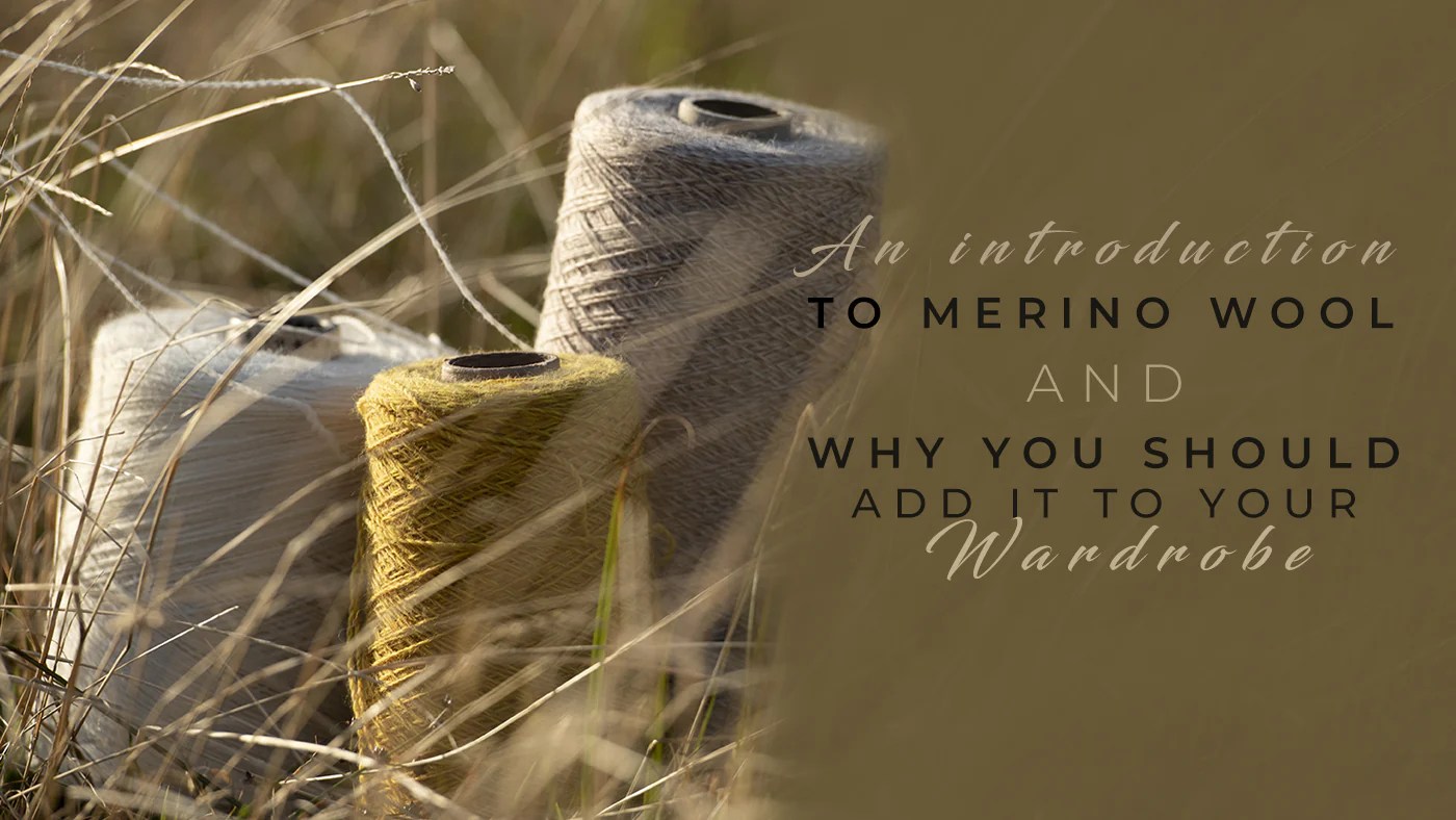 Merino Wool and Why You Should Add It To Your Wardrobe