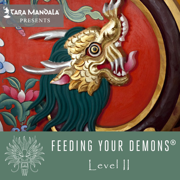 Feeding Your Demons® Online Program SKYMIND
