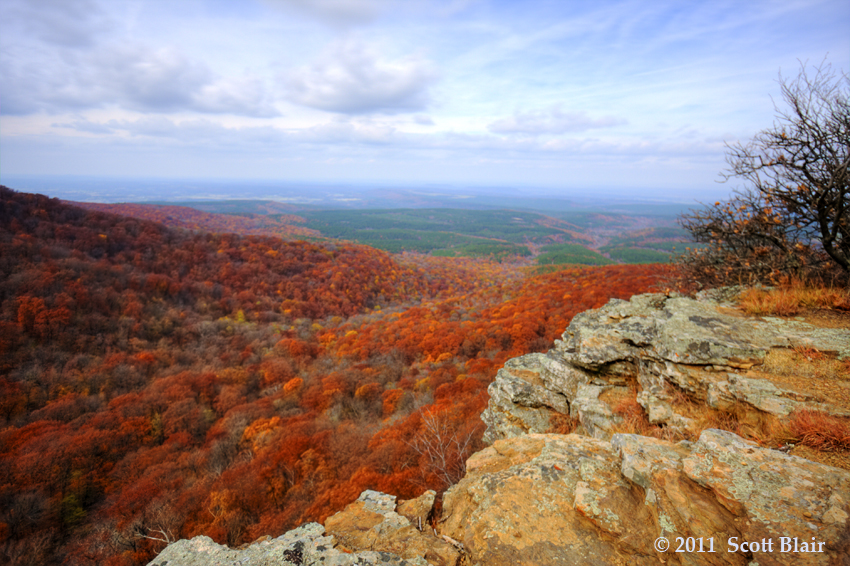 Blair Arkansas Fall 2011