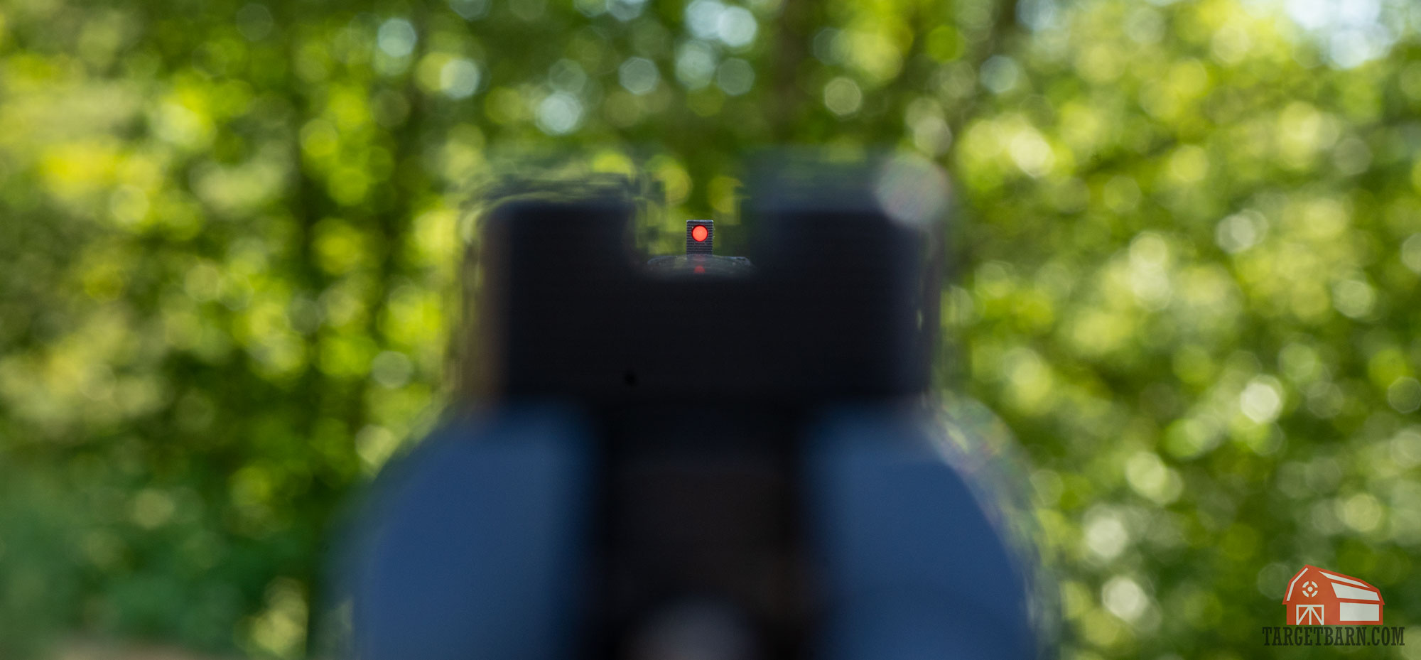 Fiber Optic vs. Tritium Sights What's the Difference & Which is Better?