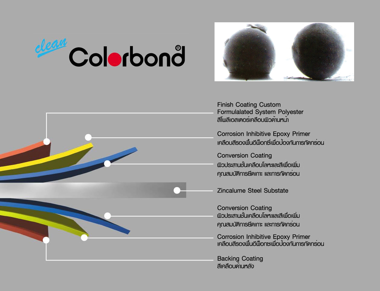 เหล็กเคลือบ ZINCALUME , เหล็กเคลือบสี Clean COLORBOND TarnBuch