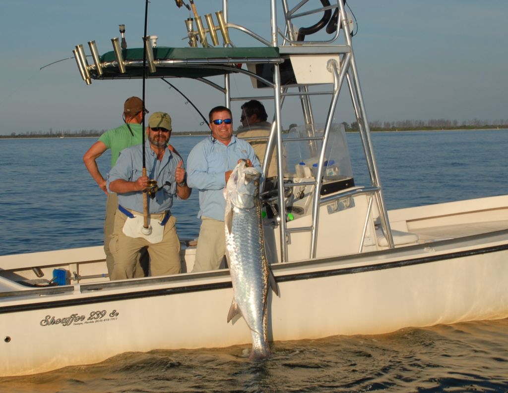 How to fish for Tarpon Tarpon Fishing