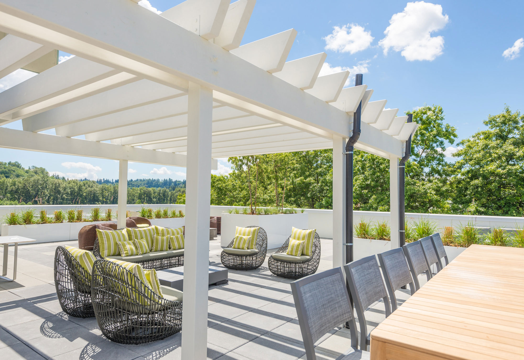 Edition Apartments Tarragon Tarragon