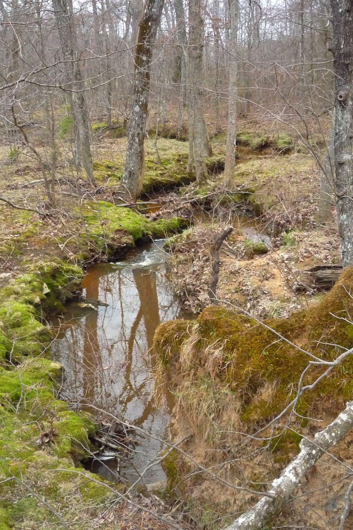 Person County Tar River Land Conservancy