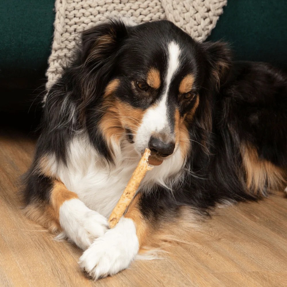 Tartar Shield® Soft Rawhide Chews for Large Dogs (24 count)