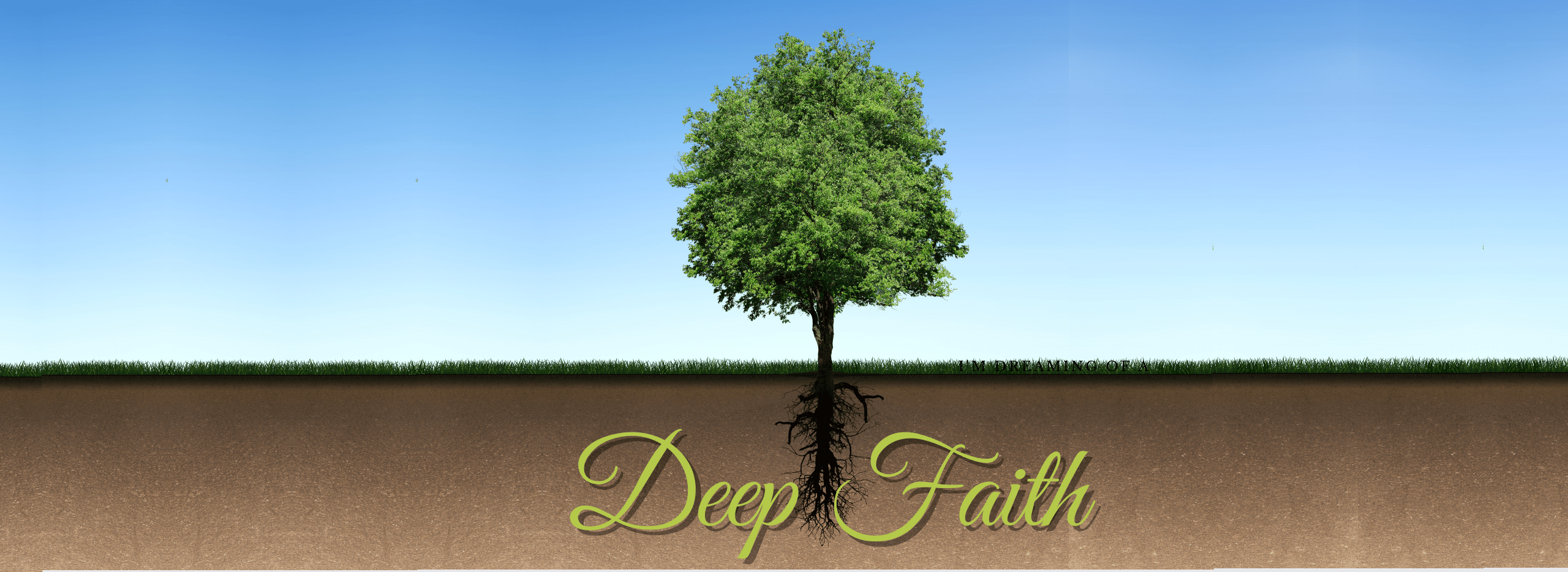 Discovering Deep, Resilient Faith Tasmanian Baptists