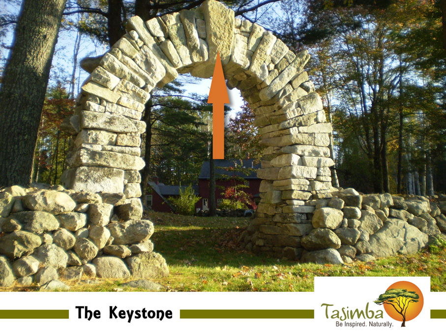 Are We A Keystone Species Tasimba. Be Inspired. Naturally.