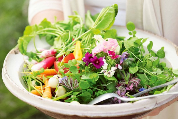 Garden Salad With Vinaigrette Recipe