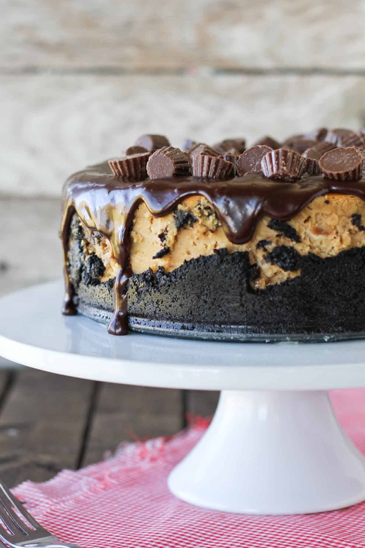 The Best Reese's Peanut Butter Cheesecake Taste and Tell