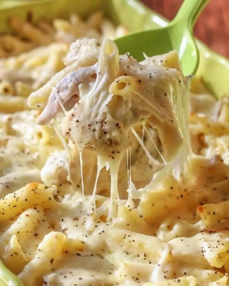 Chicken alfredo bake