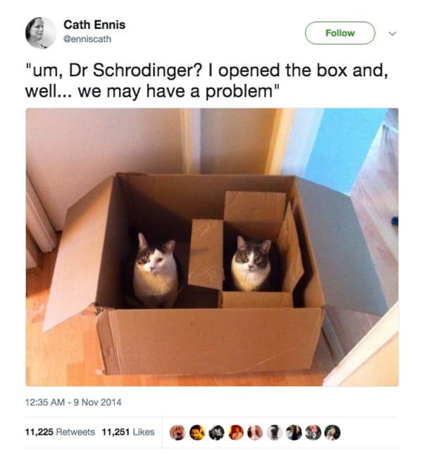 You Don’t Have To Be The Smartest Person In The Room To Laugh At These