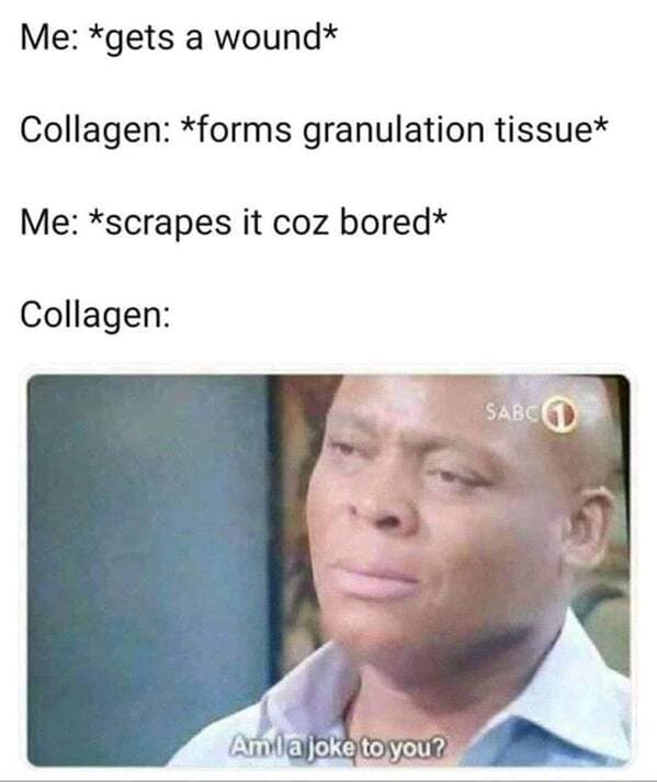 You Don’t Have To Be The Smartest Person In The Room To Laugh At These