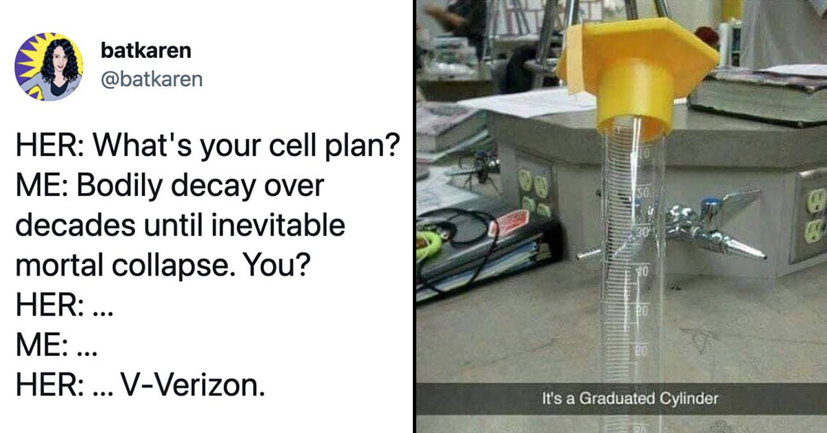 You Don’t Have To Be The Smartest Person In The Room To Laugh At These