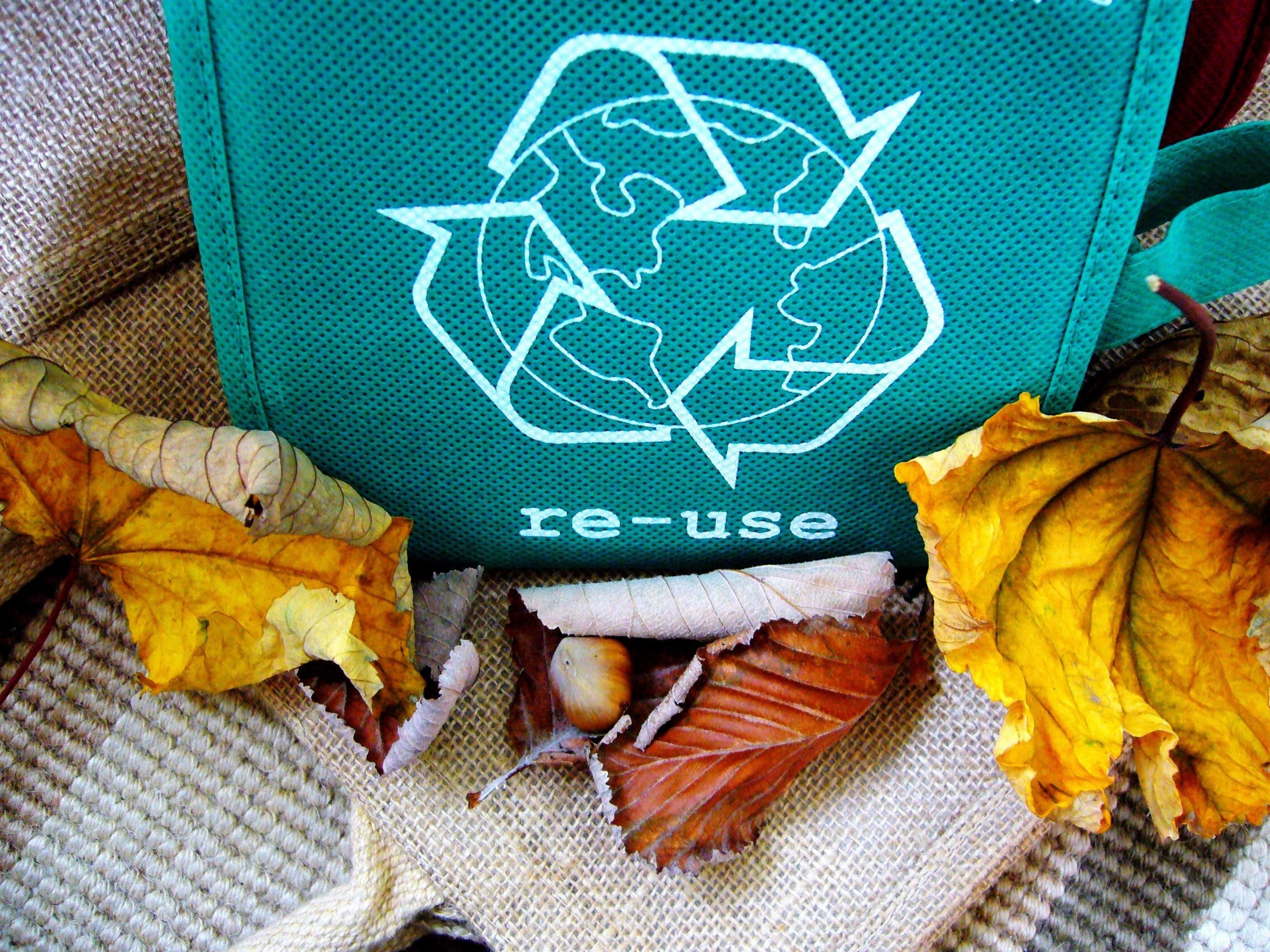 How to Start Recycling 3 Key Recycling Tips Everyone Should Know
