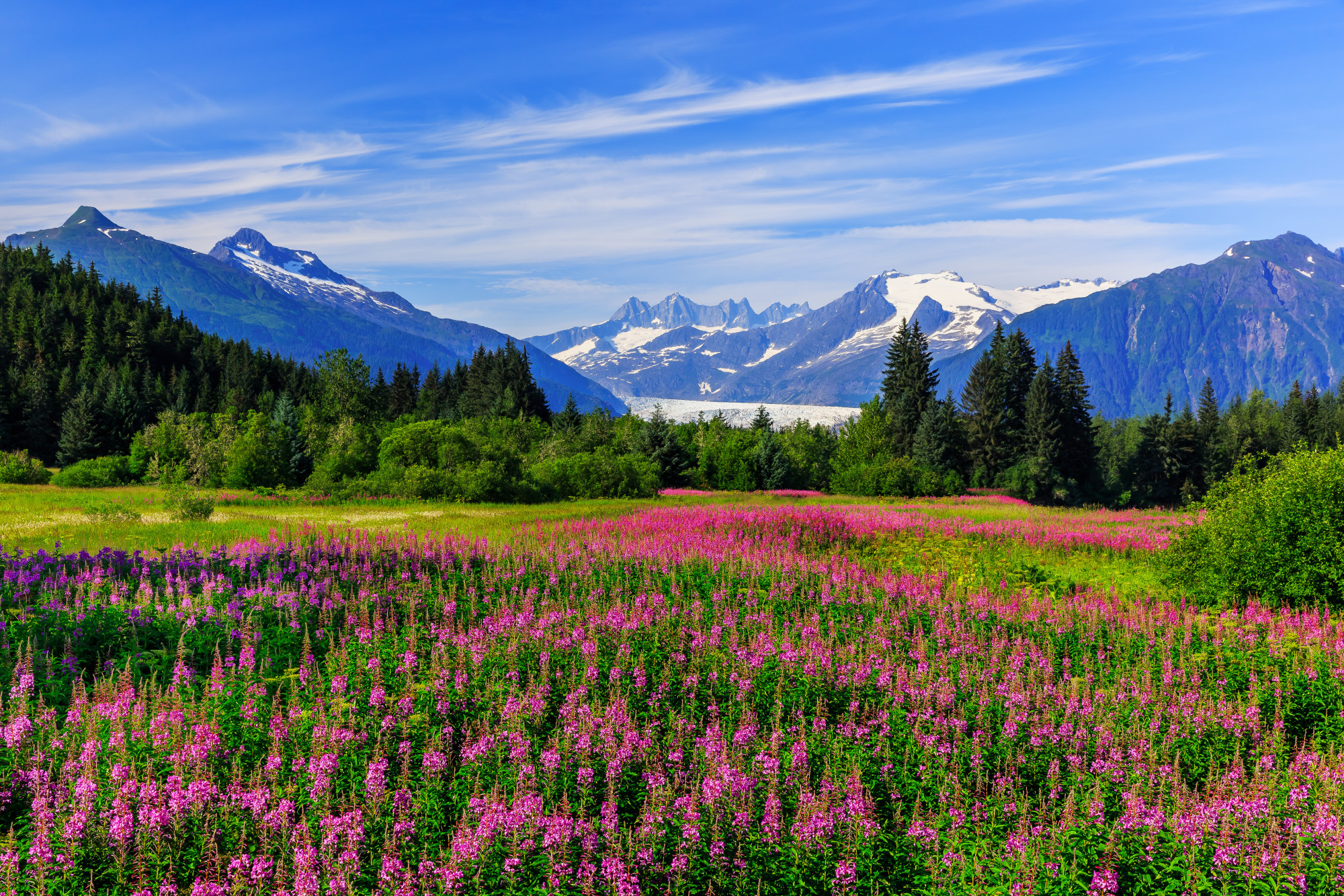 The 5 Best Things to Do in Alaska Tasteful Space
