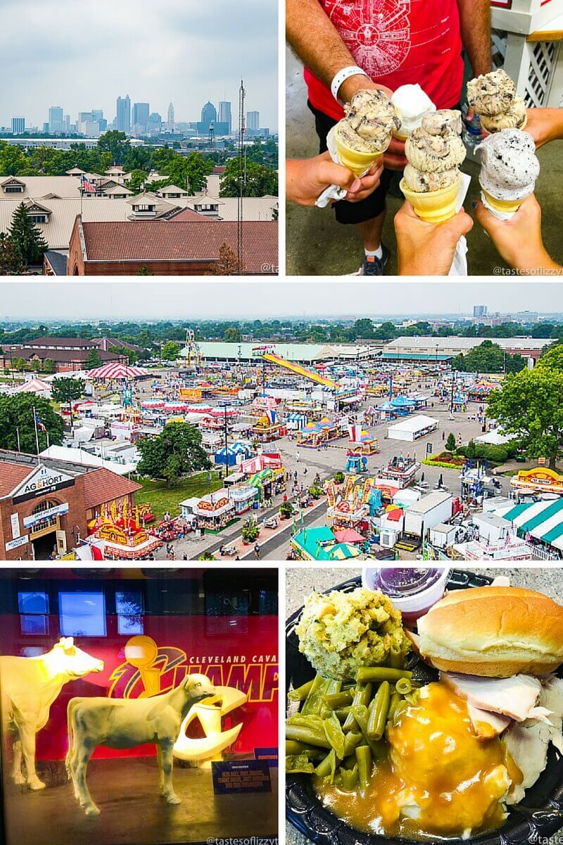 A Family Guide to the Ohio State Fair Tastes of Lizzy T