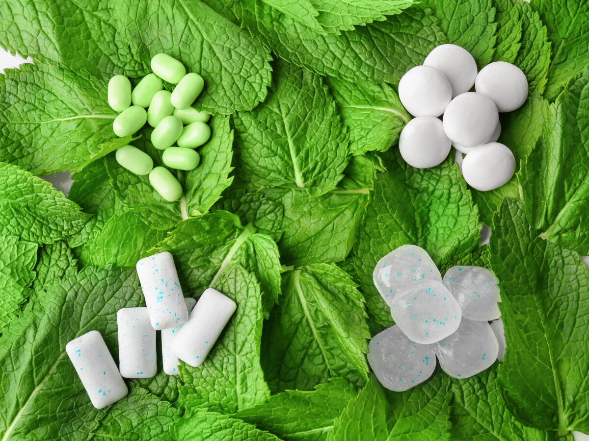 Menthol Powder Confectionery & Chewing Gum TasteTech