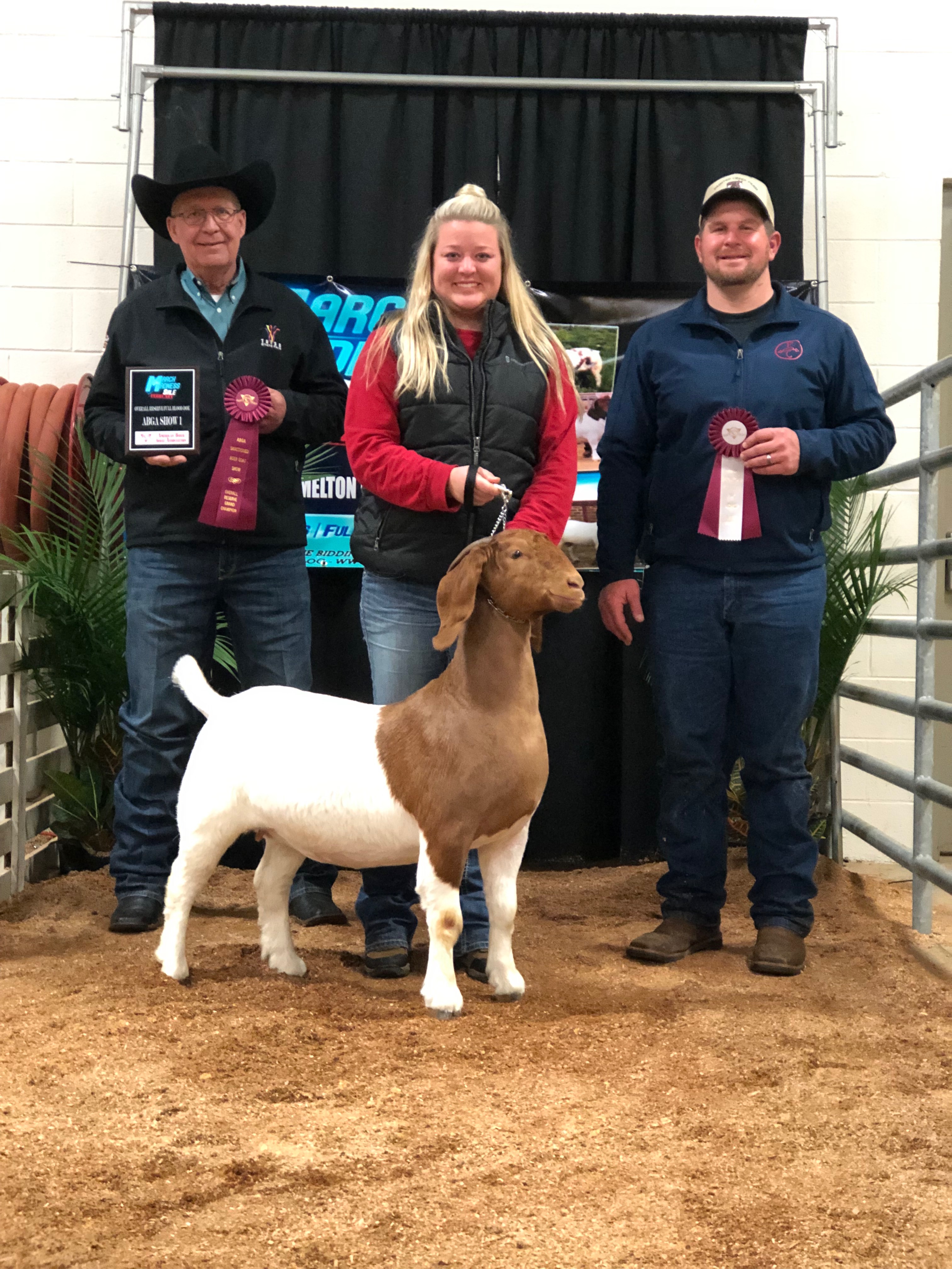 Show Quality Boer Goats Goat Breeders in North Carolina Due Date